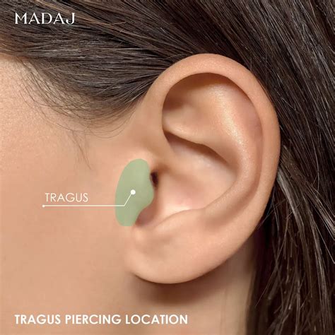 Ear Piercings Placement & Location Full Guide | MADAJ Piercings