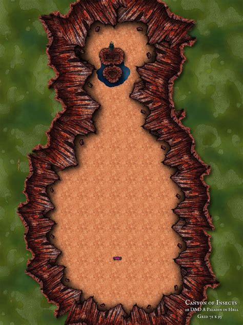 Canyon of Insects, "A Paladin in Hell" from 2nd Edition D&D : r/dndmaps
