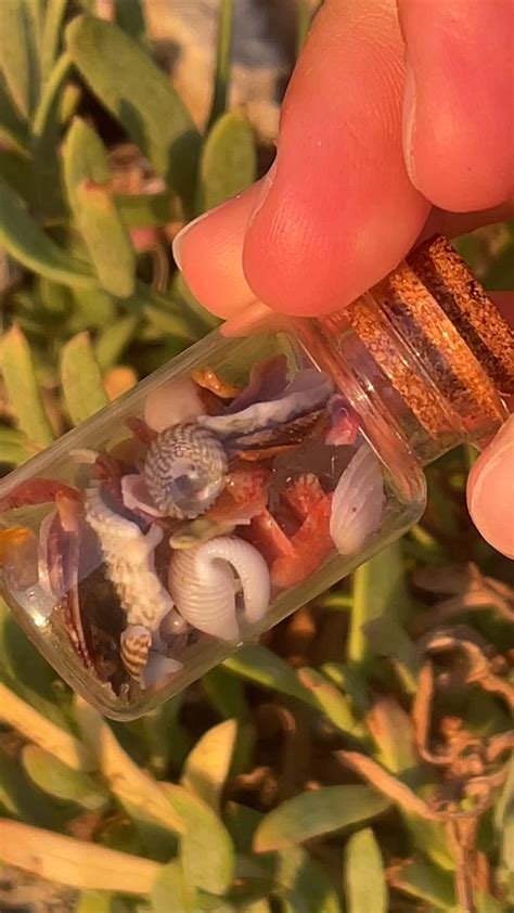 Pin di evangeline 🐚 su art/crafts 🍍 nel 2024 | Idee estive, Idee carine ...