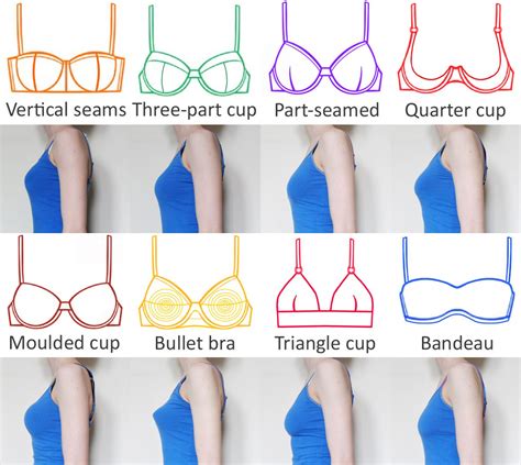 A Guide to Bra Styles, Seams and Shapes | Esty Lingerie