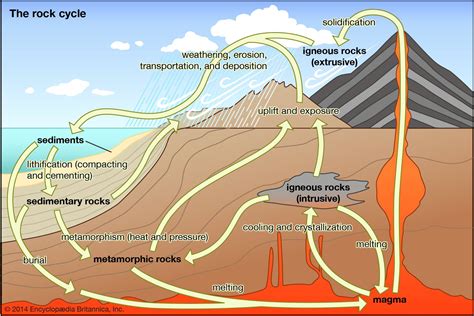 Metamorphic rock - Pressure | Britannica