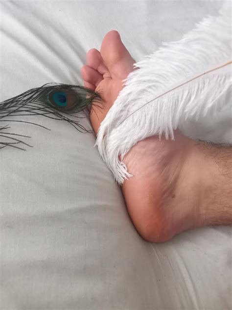 Feather feet 2 by ticklishy on DeviantArt