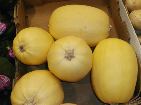 All the Scoop on Growing Spaghetti Squash