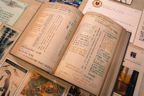 Ship Of Theseus S 本