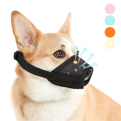 Dog Muzzle Stop Barking at Melody Hanks blog