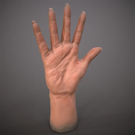 Boris Van der Beek - Caucasian Female Hand 3d Study