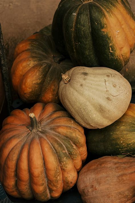 Black+Oiled+Up+Men Photos, Download The BEST Free Black+Oiled+Up+Men ...