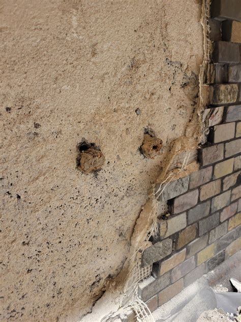 Wood plugs in party wall? : r/DIY