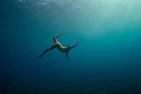 Download Marinelife Exploring an Underwater Reef | Wallpapers.com