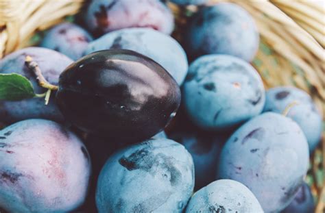 Enjoy Easy Stewed Damson Plums for Breakfast or With Pork or Ham ...