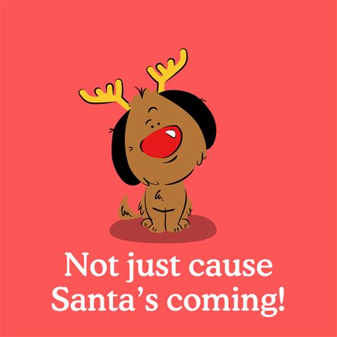 Why Is My Dog Is Jerking? 9 Reasons Why - Zigzag