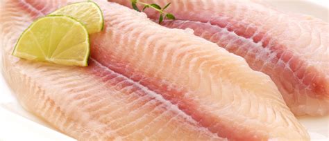 Frozen Catfish Fillet