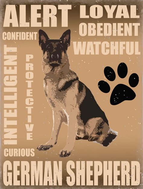 German Shepherd Traits - American Collectibles