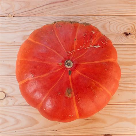 Heirloom Cinderella Maxima squash Organic Seeds