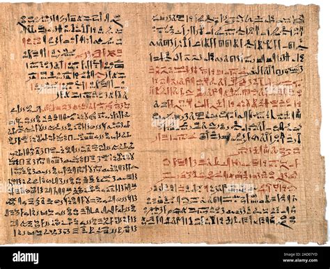 Edwin Smith Papyrus, Ancient Egyptian medicine. This papyrus includes ...