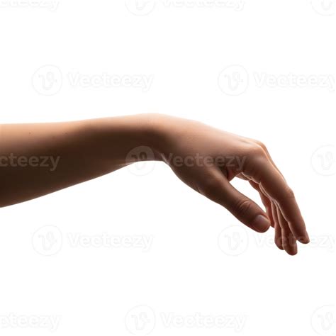 A human hand and arm reaching out, isolated on transparent background ...