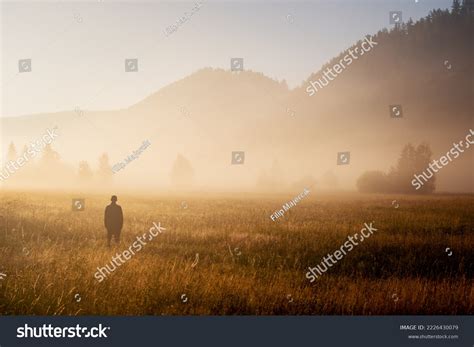 757 Cold Misty Rain Field Images, Stock Photos & Vectors | Shutterstock