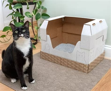 8 Best Disposable Cat Litter Boxes