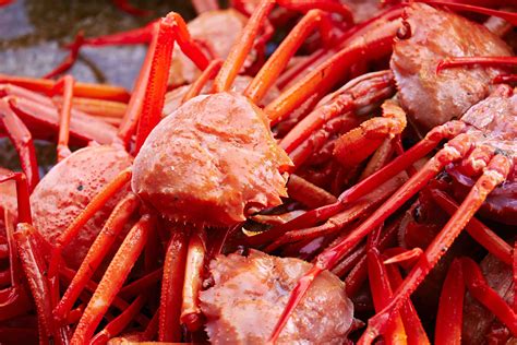 19 Snow Crab Nutrition Facts - Facts.net