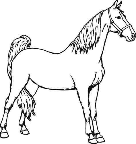 Horse Printable Colouring Pages