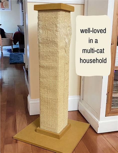 Scratching Posts for Large Cats: Strong & Sturdy