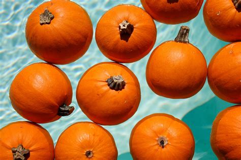 Downtown Chico - Thursday Night Market is tonight, May 26th, from 6-9 p ...