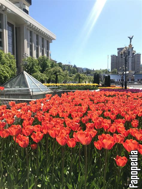 Lili_babe Nude OnlyFans Leaks - Photo #971661 - Fapopedia