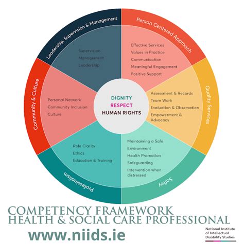 Competency Framework - Health & Social Care Professional - NIIDS