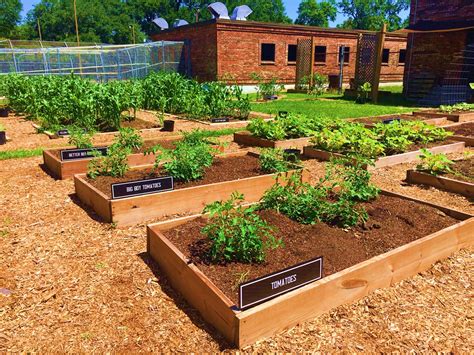 Strickland Youth Center Number at Jason Lindstrom blog