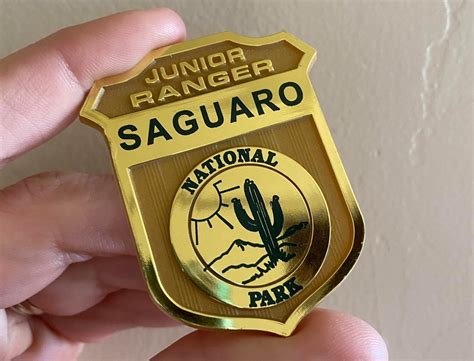 10 Junior Ranger Badges You Can Earn From Home - National Park Trust