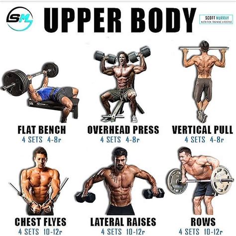 Pin by Tonilynn Mercone on workouts | Workout splits, Full upper body ...