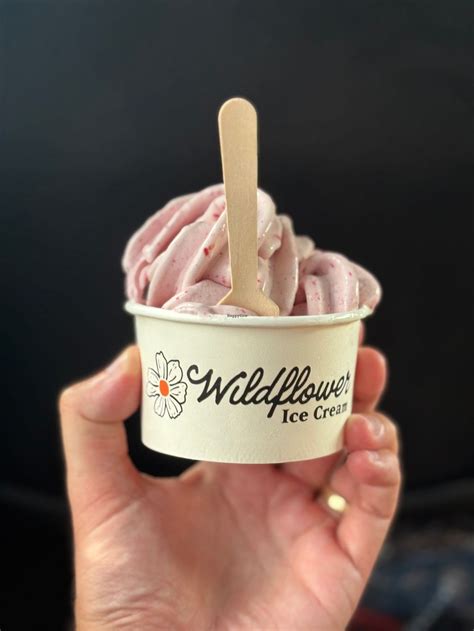 Wildflower Ice Cream - St Petersburg Florida Ice Cream - HappyCow