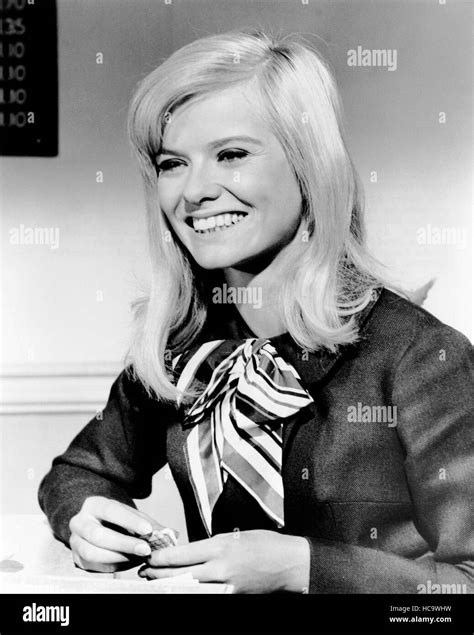 THE YOUNG RUNAWAYS, Brooke Bundy, 1968 Stock Photo - Alamy