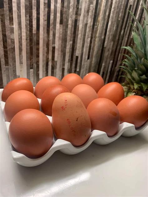 I’ve got a potato shaped egg. 11 other eggs for scale. No one dares to ...