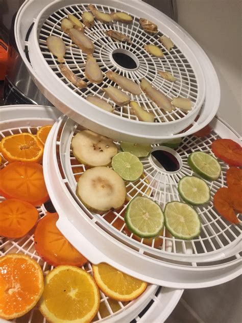 Dehydrating fruit tea : r/dehydrating