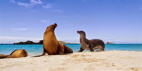 Ecuador Travel & Galapagos Tours with Enchanting Travels