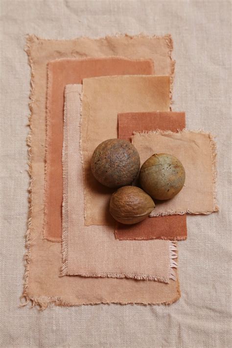 How to Dye Fabric Naturally with Avocado Pits & skins | Natural dyeing ...