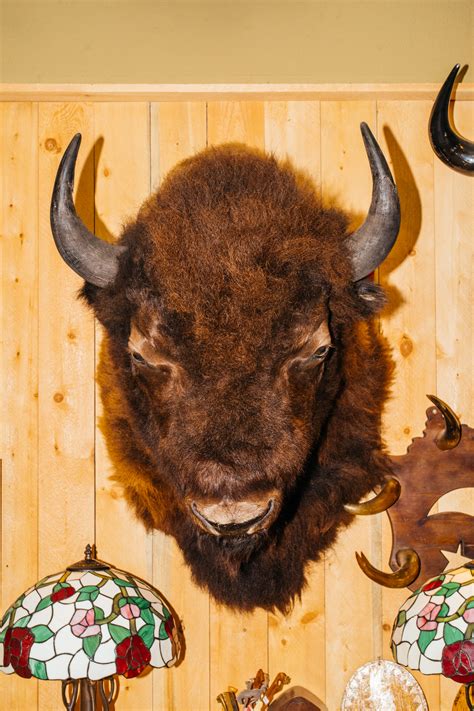 A Pit Stop at Roly Poly Coffee in Bozeman: Vintage Threads, Old Trucks ...