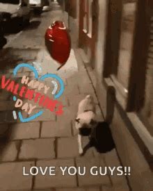 Happy Valentines Day Gif Funny