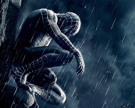 Black Spider-Man in the rain HD wallpaper download