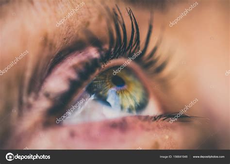 Real Eyeball Side View