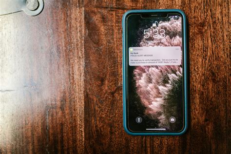 Mitigating the Dangers of Echeck: Expert Advice Inside