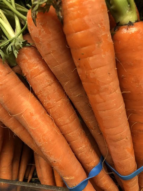 Are hairy carrots OK to eat?