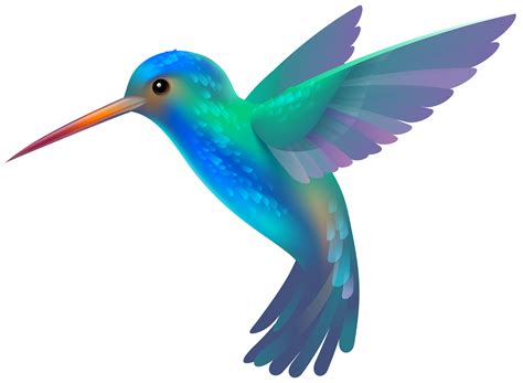 Free Hummingbird Clipart, Download Free Hummingbird Clipart png images ...