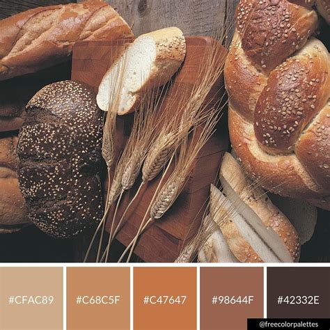 Brown Color Palette Inspiration with Bread and Wheat