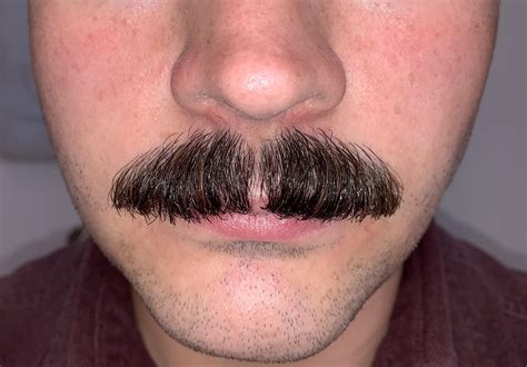 Fresh shave 🪒 : r/Moustache