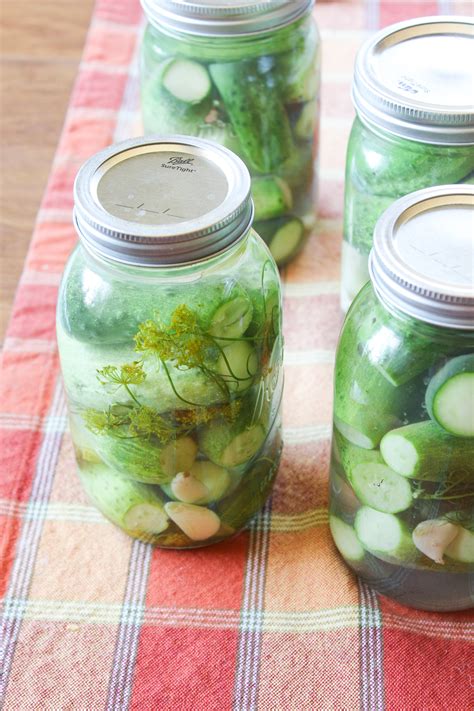 Fermented Probiotic Pickles (keto, paleo) - LowCarb Abode