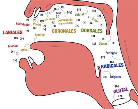 VOCAL Y CONSONANTE, O EL SONIDO Y LA LETRA | Retrato Literario