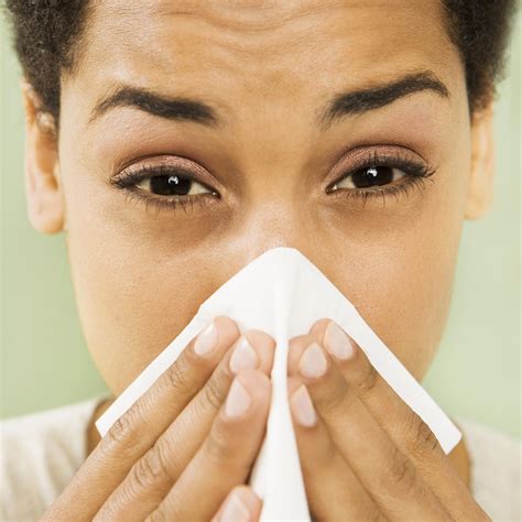 Can Seasonal Allergies Cause A Low Grade Fever at Jack Radcliffe blog