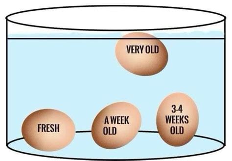 Best 12 Egg Float Test: How To Tell If An Egg is Bad – Artofit